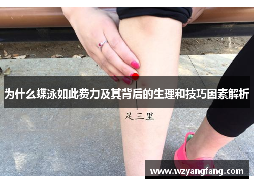 为什么蝶泳如此费力及其背后的生理和技巧因素解析